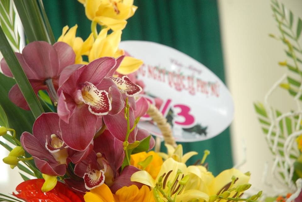 Chúc mừng ngày quốc tế phụ nữ 08-03