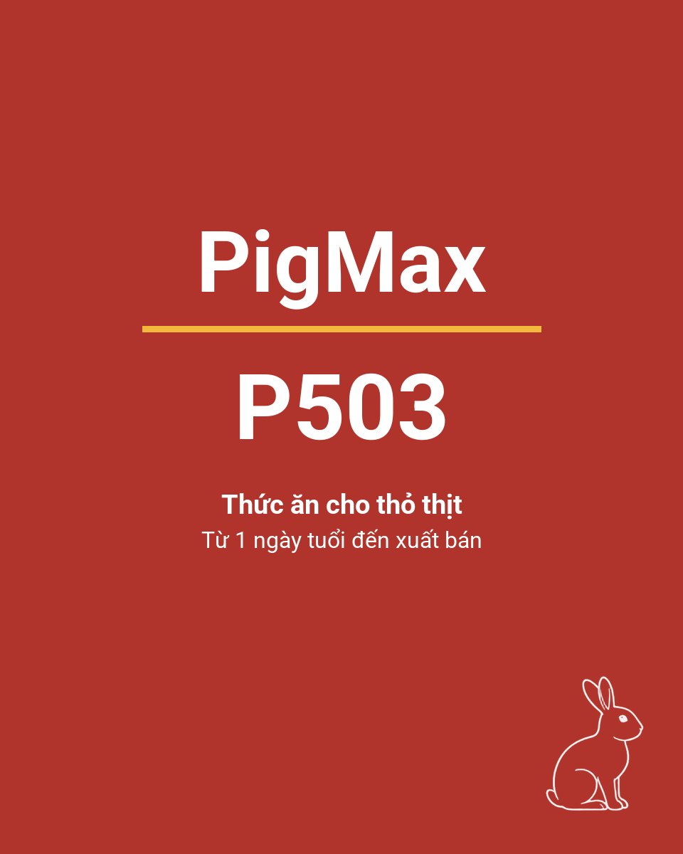 Bao thức ăn chăn nuôi PigMax P503 — Thức ăn cho thỏ thịt từ 1 ngày tuổi đến xuất bán