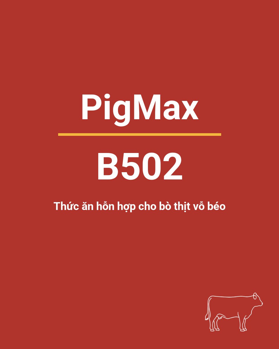 Bao thức ăn chăn nuôi PigMax B502 — Thức ăn hỗn hợp cho bò thịt vỗ béo