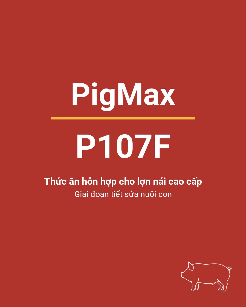 Bao thức ăn chăn nuôi PigMax P107F — Thức ăn hỗn hợp cho lợn nái cao cấp Giai đoạn tiết sửa nuôi con