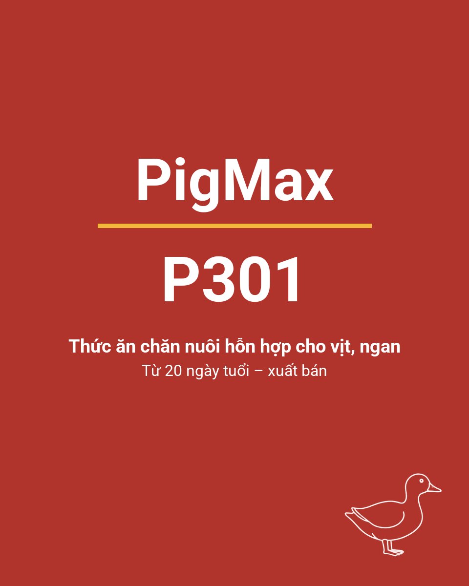 Bao thức ăn chăn nuôi PigMax P301 — Thức ăn chăn nuôi hỗn hợp cho vịt, ngan Từ 20 ngày tuổi – xuất bán