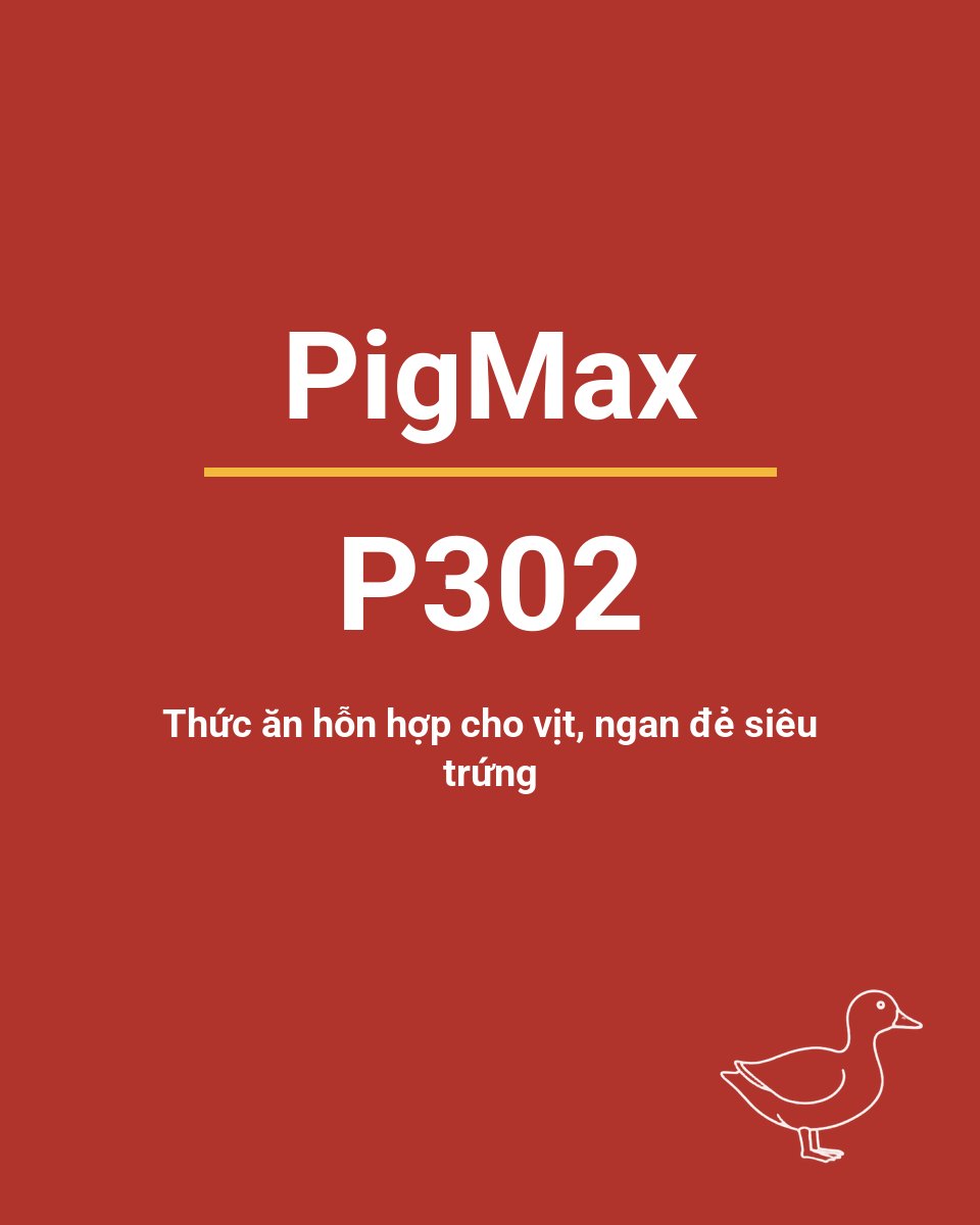 Bao thức ăn chăn nuôi PigMax P302 — Thức ăn hỗn hợp cho vịt, ngan đẻ siêu trứng