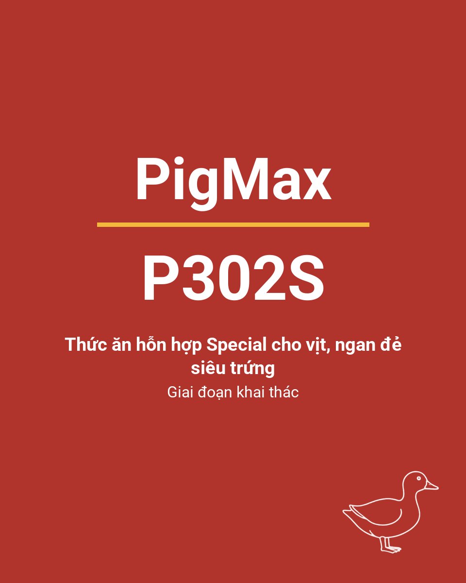 Bao thức ăn chăn nuôi PigMax P302S — Thức ăn hỗn hợp Special cho vịt, ngan đẻ siêu trứng Giai đoạn khai thác