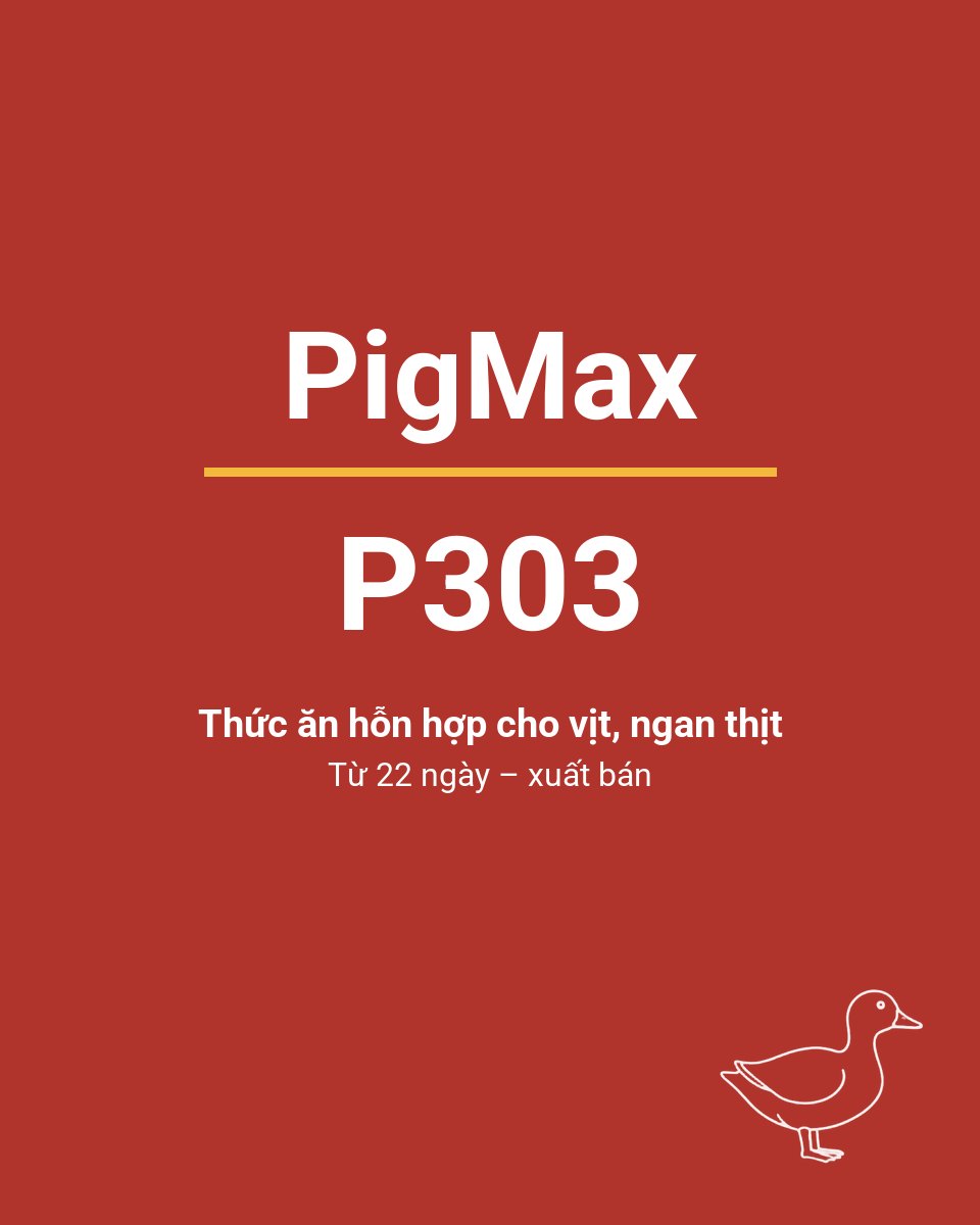 Bao thức ăn chăn nuôi PigMax P303 — Thức ăn hỗn hợp cho vịt, ngan thịt Từ 22 ngày – xuất bán