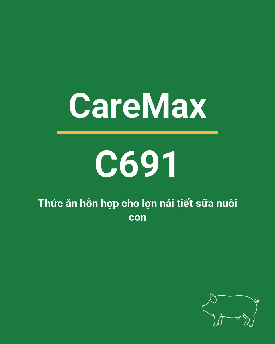 Bao thức ăn chăn nuôi CareMax C691 — Thức ăn hỗn hợp cho lợn nái tiết sữa nuôi con