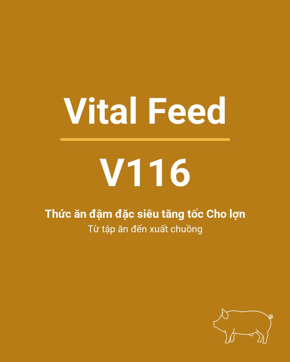Bao thức ăn chăn nuôi Vital Feed V116 — Thức ăn đậm đặc siêu tăng tốc Cho lợn từ tập ăn đến xuất chuồng