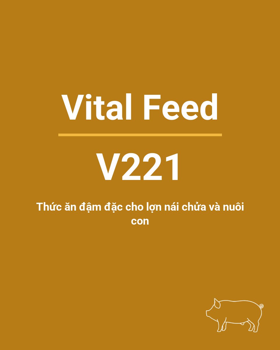 Bao thức ăn chăn nuôi Vital Feed V221 — Thức ăn đậm đặc cho lợn nái chửa và nuôi con