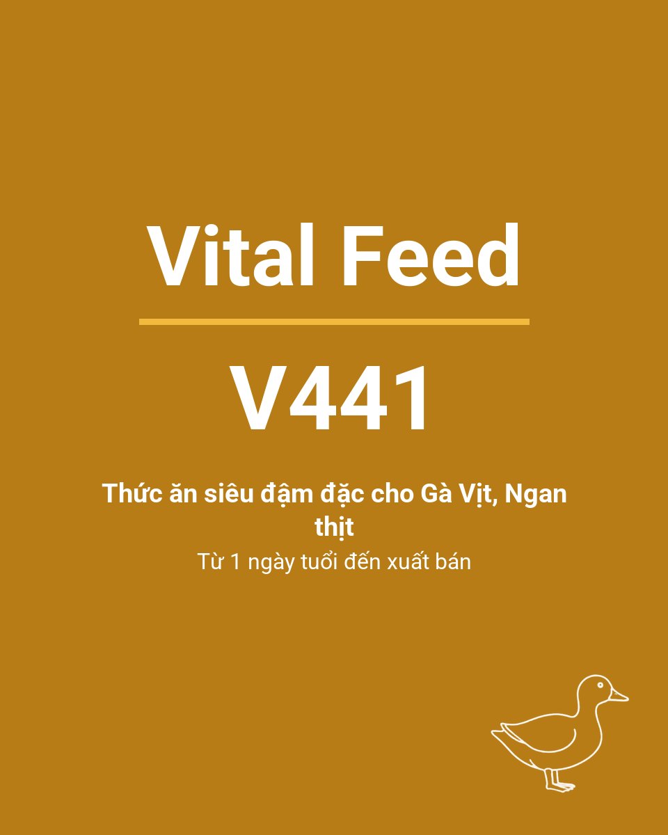 Bao thức ăn chăn nuôi Vital Feed V441 — Thức ăn siêu đậm đặc cho Gà Vịt, Ngan thịt Từ 1 ngày tuổi đến xuất bán